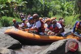 Sejumlah wisatawan menaiki perahu karet saat melakukan wisata petualangan arung jeram di sungai Badeng, Songgon, Banyuwangi, Jawa Timur, Minggu (3/4). Pemerintah Kabupaten Banyuwangi terus mengembangkan sektor pariwisata dengan konsep Sport Tourism seperti Arung jeram, selancar, dan balab sepeda yang banyak diminati oleh wisatawan lokal maupun mancanegara. Antara Jatim/ Budi Candra Setya/zk/16.