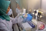 Petugas laboratorium memeriksa sampel darah ayam untuk penelitian penyebaran virus Flu Burung (H1NI) di Laboratorium Balai Besar Karantina Pertanian Surabaya di Juanda, Sidoarjo, Jawa Timur, Rabu (6/4). Laborotorium penelitian tersebut untuk menganalisis ada tidaknya flu burung pada ayam dan burung serta strain virus apa yang terlibat. Antara Jatim/Umarul Faruq/zk/16