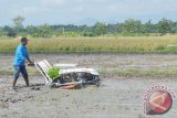 Petani menanam padi menggunakan mesin di Ponorogo, Jawa Timur, Jumat (8/4). Kementerian Pertanian akan memodernisasi semua alat pertanian, sehingga bisa meningkatkan produktivitas padi dan memudahkan petani saat tanam dan panen. Antara Jatim/FotoSiswowidodo/16