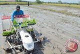 Petani menanam padi menggunakan mesin di Ponorogo, Jawa Timur, Jumat (8/4). Kementerian Pertanian akan memodernisasi semua alat pertanian, sehingga bisa meningkatkan produktivitas padi dan memudahkan petani saat tanam dan panen. Antara Jatim/Foto/Siswowidodo/zk/16