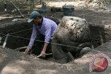 Pekerja menggali tanah di sekitar arca makara di area situs 'kuburan candi' Desa Adan-Adan, Kabupaten Kediri, Jawa Timur, Senin (11/4). Tim dari Pusat Arkeologi Nasional  (Puslit Arkenas) melakukan ekskavasi terhadap situs yang diperkirakan sebagai kompleks candi pada masa peralihan peradaban Jawa Tengah (Mataram Kuno) ke Jawa Timur tersebut guna dilakukan penelitian lanjutan yang dilakukan oleh R. Soekmono dari Puslit Arkenas pada tahun 1957. Antara Jatim/Prasetia Fauzani/zk/16