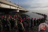 Ribuan prajurit Korps Marinir TNI Angkatan Laut bersiap-siap berenang melintasi selat Madura, Surabaya, Jawa Timur, Rabu (13/4). Latihan yang dilakukan oleh 2016 anggota TNI AL tersebut sebagai persiapan pemecahan rekor MURI perenang terbanyak melintasi selat Madura yang akan digelar pada 28 April. Antara Jatim/Didik Suhartono/zk/16