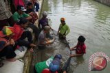 Sejumlah santri belajar budidaya ikan di Ponpes At Tahdzib Ngoro, Jombang, Jawa Timur, Kamis (14/4). Selain belajar ilmu agama santri di Ponpes setempat juga dibekali pengetahuan budidaya ikan serta pertanian. Antara Jatim/Syaiful Arif/zk/16