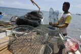 Nelayan minta KKP berikan solusi larangan cantrang 