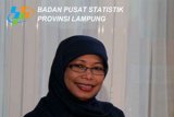 Harga gabah di Lampung naik 