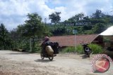 Seorang pengendara sepeda motor melintas di jalanan lapangan sumur minyak tua di Kecamatan Kedewan, Kabupaten Bojonegoro, Jawa Timur, dengan latas belakang tulisan 'The Little Teksas Wonocolo', Minggu (17/4). Pemerintah Kabupaten (Pemkab), Pertamina EP Asset 4 Field Cepu, Jawa Tengah,  berkerja sama dengan UPNV Yogyakarta, mengembangkan tambang minyak tradisional di daerah setempat, menjadi objek wisata minyak. Antara Jatim/Foto/Slamet Agus Sudarmojozk/16. 
