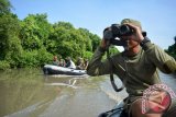 omandan Pasmar-1 Brigadir Jenderal TNI (Mar) Lukman Hasyim (kiri) di dampingi Seorang peneliti burung dari Bird Counsultant, Iwan Londo (kanan) dan sejumlah anggota pasukan khusus Batalyon Intai Amfibi-1 (Taifib-1) Marinir melakukan pengamatan burung pantai dari atas perahu karet di muara sungai avour mangrove Wonorejo, Rungkut, Surabaya, Jawa Timur, Selasa (19/4). Kegiatan yang di gelar Bird Consultant dan Pasmar-1 tersebut dalam rangka Hari Bumi Sedunia yang di peringati setiap 22 April. Antara Jatim/Umarul Faruq/zk/16