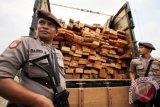 Aparat Kepolisian mengamankan truk pengangkut kayu tanpa dokumen di lintas nasional kawasan Meunasah Dayah, Lhoksukon Aceh Utara, Provinsi Aceh. Senin (18/4). Sebanyak empat ton kayu berkelas jenis Merboe, Damar dan Meuranti hasil illegal logging hutan Aceh ditangkap bersama tersangka, Zainal (39) warga Aceh Timur. ANTARA FOTO/Rahmad/ama/16