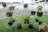 Bunga yang terawat dan tersusun rapih di sejumlah pot dan miniatur sepeda menambah keindahan di halaman Rumah Sakit Umum Daerah (RSUD) Kota Bogor, Jawa Barat. (ANTARA FOTO/M.Tohamaksun/Dok).