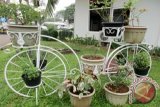 Bunga yang terawat dan tersusun rapih di sejumlah pot dan miniatur sepeda menambah keindahan di halaman Rumah Sakit Umum Daerah (RSUD) Kota Bogor, Jawa Barat. (ANTARA FOTO/M.Tohamaksun/Dok).