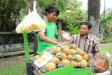 Pedagang buah, Falhulrahman (22) sedang menjajakan dagangannya buah nenas asal Pemalang Jawa Tengah, di kawasan Perumahan Menteng Asri, Kecamatan Bogor Barat, Kota Bogor, Jawa Barat. (ANTARA FOTO/M.Tohamaksun/Dok).