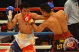 Petinju Indonesia Roy Mukhlis (kanan) melancarkan pukulan ke arah Petinju Filipina Allan Tanada (kiri) dalam memperbutkan sabuk juara dunia World Professional Boxing Federation (WPBF) Asia Pasific kelas ringan (61,2 kg) di GOR Indoor Delta Sidoarjo, Jawa Timur, Jumat (22/4) malam. Allan Tanada mengalahkan Roy Mukhlis dengan TKO di ronde kedelapan. Antara Jatim/Umarul Faruq/zk/16