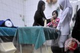 Banjir rob rendam rumah warga pesisir Lumajang