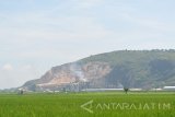 Seorang petani memupuk tanaman padi dengan latar belakang gunung kapur Sadeng di Desa Grenden, Puger, Jember, Jawa Timur, Senin (2/5). Menurut data dari Panitia Khusus Tambang DPRD Jatim tercatat  47 perusahaan tambang di Jember, namun 30 perusahaan izinnya masih aktif, dan 15 perusahaan izinnya sudah mati dan dua perusahaan izinnya dikembalikan.Dari 30 perusahaan yang masih aktif memiliki izin tambang itu terdiri dari 14 perusahaan melakukan tambang galian C berupa kapur dan satu perusahaan melakukan tambang batu kwarsa, sedangkan galian B tercatat sebanyak 14 perusahaan melakukan penambangan mangaan dan satu perusahaan menambang pasir besi. Antara Jatim/Seno/zk/16.