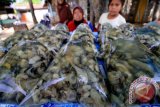 Seorang anak menunggui tiram (oyster) dagangan orang tuanya di kawasan Jalan Banda Sakti, Lhokseumwae, Provinsi Aceh, Jumat (6/5). Pemerintah Aceh melalui Lembaga pengembangan sumber daya manusia (LPSDM) mengembangkan metode baru peningkatan usaha produksi tiram dari tradisional menjadi modern di 17 kabupaten/kota dengan target tahun 2017 Aceh menjadi daerah pengekspor tiram. ANTARA FOTO/Rahmad/foc/16.