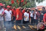 Gubernur Kalimantan Barat Drs. Cornelis, MH bersama ketua Forikan Ny. Frederika Cornelis, SPd, bakar ikan pada Festival Bahari Nusantara di Pasir Panjang Singkawang, Minggu (8/5).  Kegiatan tersebut adalah rangkaian  HUT PDI Perjuangan ke 43 yang acara puncaknya 1 juni di rumah Radakng Pontianak. (Foto Rendra Oxtora)