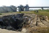 Seorang warga mengendarai sepeda motor melintas di tapak Bendung Gerak Bengawan Solo di Desa Padang, Kecamatan Trucuk, Kabupaten Bojonegoro, Jawa Timur, yang ambrol, Selasa (10/5). Ambrolnya tapak bendung di bagian kiri dan pelengsengan di bagian kanan, sejak dua pekan lalu, diperkirakan akibat adanya penambangan pasir mekanik di daerah hilirnya. Antara Jatim/Foto/Slamet Agus Sudarmojozk/.