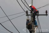 Pekerja memperbaiki jaringan listrik untuk rumah tangga di Beji, Batu, Jawa Timur, Selasa (10/5). PT PLN (Persero) menyatakan sekitar 18 juta pelanggan rumah tangga golongan 900 VA yang tidak layak mendapatkan subsidi akan mengalami kenaikan tarif secara bertahap mulai bulan Juni 2016. Antara Jatim/Ari Bowo Sucipto/zk/16.