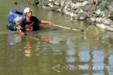 Warga mencari ikan menggunakan alat setrum di Jombang, Jawa Timur. Rabu (11/5). Banyaknya ikan yang didapat menggunakan alat tangkap setrum, membuat masyarakat meninggalkan cara menangkap ikan secara tradisional seperti menjaring atau memancing. Namun  penangkapan ikan dengan alat setrum dapat mengakibatkan benih ikan mati, sehingga menyebabkan endemik ikan air tawar punah dan sulit didapatkan. Antara Jatim/Syaiful Arif/zk/16