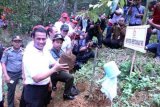 Menteri Pertanian RI Amran Andi Sulaiman (kiri) simbolik melakukan penanaman bibit pohon durian di kawasan hutan durian di Watulimo, Trenggalek, Jawa Timur, Jumat (13/5). Pemerintah menetapkan kebun durian seluas 650 hektare lebih di dalam kawasan perhutani tersebut sebagai kawasan hutan durian internasional (international durio forestry) terbesar di Asi-Pasifik. Antara jatim/Destyan Sujarwoko/zk/16