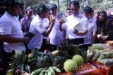 Menteri Pertanian RI Amran Andi Sulaiman (tengah) mengamati produk unggulan saat melakukan kunjungan kerja di Trenggalek, Jawa Timur, Jumat (13/5). Dalam kunjungan kerjanya itu, Mentan mengukuhkan Asosiasi Petani Hortikultura Indonesia (ASPPEHORTI) sekaligus mencanangkan kawasan hutan durian internasional (International Durio Forestry) di Watulimo Trenggalek yang memiliki luas 650 hektare lebih. Antara Jatim/Destyan Sujarwoko/zk/16