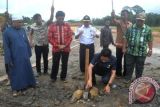 Bupati Barut Letakan Batu Pertama Pembangunan Mushalla 