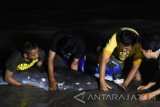 Sejumlah nelayan dan tim dokter hewan dari Kebun Binatang Surabaya (KBS) berusaha mengamati kondisi dari ikan lumba-lumba (Delphinus capensis) yang terdampar di tepi Pantai Nambangan, Kenjeran, Surabaya, Jawa Timur, Senin (23/5) dini hari. Menurut Hafidin nelayan setempat, mamalia langka dengan panjang sekitar 1,5 meter tersebut tersangkut pada jaring dan berusaha mendorong lumba-lumba tersebut ketengah laut namun kondisi nya semakin melemah. Antara Jatim/M Risyal Hidayat/zk/16