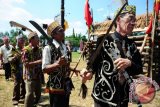 Sejumlah lelaki suku Dayak Taman menari mengelilingi tempat sapi yang akan ditombak saat menjalani prosesi Mamundung di Rumah Radakng, Pontianak, Kalbar, Sabtu (21/5). Suku Dayak Taman dari Kapuas Hulu, Kalbar menggelar rangkaian upacara Pasiap, Mamundung, Mamasi dan Mandariak, sebagai wujud rasa syukur kepada Tuhan serta memberi penghormatan kepada leluhur di alam baka. ANTARA FOTO/Jessica Helena Wuysang/16