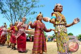 Sejumlah perempuan suku Dayak Taman menari saat menjalani rangkaian upacara adat di Rumah Radakng, Pontianak, Kalbar, Sabtu (21/5). Suku Dayak Taman dari Kapuas Hulu, Kalbar menggelar rangkaian upacara Pasiap, Mamundung, Mamasi dan Mandariak, sebagai wujud rasa syukur kepada Tuhan serta memberi penghormatan kepada leluhur di alam baka. ANTARA FOTO/Jessica Helena Wuysang/16
