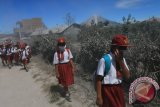 Sejumlah siswa SD Negeri 040482 bersama guru melintas di jalan dipenuhi debu vulkanik erupsi Gunung Sinabung ketika pulang dari sekolah, di Desa Gajah, Karo, Sumatera Utara, Senin (23/5). Untuk menghindari terhirup debu vulkanik Gunung Sinabung, guru dan siswa di sejumlah sekolah di kawasan tersebut mengenakan masker. ANTARA FOTO/Irsan Mulyadi/16