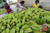 Petani ketika sedang memilah buah belimbing di Desa Tuliskriyo, Kabupaten Blitar, Jawa Timur. (ANTARA FOTO/Irfan Anshori/Dok).  