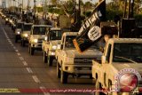 Fallujah Digempur Pasukan Irak, ISIS Bertahan Mati-Matian