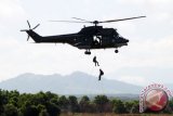 Dua personil TNI AU turun dari Hellycopter Puma saat digelar latihan Manuver Lapangan Sikatan Daya 2016 di Desa Maluka Baulin Kalimantan Selatan, Rabu (1/6). Latihan tempur TNI AU Sikatan Daya 2016 melibatkan puluhan pesawat dari Koopsau II lepas landas dari Mako Lanud Sjamsudin Noor Banjarmasin tersebut diantaranya  Sukhoi SU 27/30, F16, T50i Golden Eagle, EMB 314 Supertucano, Hercules C130 dan Hellycopter Puma. Antarafoto/Herry Murdy Hermawan