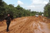 Ketua Komisi B DPRD Kabupaten Sintang, Harjono dilokasi jalan Simba yang rusak berat (Foto Tantra Nur Andi)