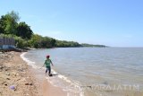 Sejumlah pengunjung bermain dengan ombak di Pantai Batu Malang, Bangkalan, Madura (4/6). Adanya Jembatan Suramadu, pengembangan wisata diharapkan dapat memajukan potensi wisata lokal dan perekonomian warga Bangkalan. Antara Jatim/Abdullah Rifai/zk/16