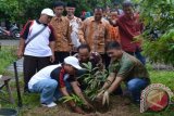 Peppirka Terus Perjuangkan Kejayaan Rotan Kalimantan 
