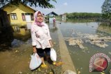 Warga menerobos genangan banjir Rob yang merendam rumah mereka di Desa Uteun Bayie, Lhokseumawe, Provinsi Aceh, Minggu (5/6). Banjir rob yang disebabkan tingginya luapan pasang air laut yang merendam lima desa pesisir di kota itu akan terus membanjiri pemukiman warga hingga puncak rob tiga hari ke depan. ANTARA FOTO/Rahmad/foc/16.