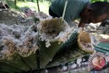 Warga membuat lemang bambu di desa Blang Rayeuk, Lhokseumawe, Provinsi Aceh, Senin (7/6). Lemang bambu yang dibuat dari ketan dilapisi daun pisang didalam bambu lalu dibakar/dimatangkan dengan bara api merupakan salah satu makanan khas berbuka puasa yang dijual seharga Rp10.000 per-potongan atau Rp60.000 per batang bambu. ANTARA FOTO/Rahmad/pd/16