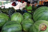 Pedagang menyortir buah semangka di Medan, Sumatera Utara, Senin (6/6). Buah semangka yang dijual Rp6.000 per kilogram tersebut menjadi salah satu santapan yang laris dibeli masyarakat untuk berbuka puasa. ANTARA SUMUT/Septianda Perdana/16