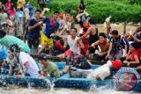 Sejumlah warga Tionghoa bermain perang air di sela menjalankan tradisi mandi bakcang saat perayaan Peh Cun di Sungai Kapuas, Pontianak, Kalbar, Kamis (9/6). Selain mandi bersama untuk membersihkan diri dari aura negatif yang rutin dilakukan setiap tanggal 5 bulan 5 tahun Imlek di Sungai Kapuas, perayaan Peh Cun juga diisi dengan menyantap makanan Bakcang bersama keluarga besar. ANTARA FOTO/Jessica Helena Wuysang/16