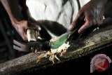 Seorang pedagang memukul penganan Sopang atau Sotong Pangkong yang dijual seharga Rp10 ribu - Rp40 ribu per potong, di Jalan Merdeka Barat, Pontianak, Kalbar, Selasa (14/6) malam. Sopang adalah kuliner khas Pontianak berupa cumi-cumi kering bakar yang dipukul-pukul dengan menggunakan palu, dan dijual hanya pada malam hari selama bulan Ramadan. ANTARA FOTO/Jessica Helena Wuysang/16