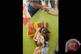 Bayi Orangutan, Didik terbungkus dalam selimut saat hendak dievakuasi Tim Yayasan Inisiasi Alam Rehabilitasi Indonesia (YIARI) Ketapang dari rumah warga di Desa Sandai Kiri, Kecamatan Sandai, Kabupaten Ketapang, Selasa (14/6). Didik yang diselamatkan Tim gabungan dari YIARI Ketapang dan BKSDA SKW I Ketapang dari rumah seorang pemilik warung, Cuan yang mengaku menerima bayi Orangutan itu dari orang tak dikenal tersebut, berada dalam kondisi malnutrisi dan ditemukan sebutir peluru di pundak kanannya hingga mengakibatkan kelenjar di dada kanannya membengkak. ANTARA FOTO/HUMAS YIARI-HERIBERTUS/jhw/16