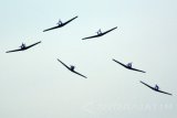 Pesawat Bonanza G-36 milik Skuadron 200 pesawat latih Wing Udara 1 Juanda melakukan attraction Juanda Harmony Flight saat peringatan HUT KE-60 Pusat Penerbangan TNI AL (Puspenerbal) di Lanudal Juanda Surabaya, Sidoarjo, Jawa Timur, Jumat (17/6). Sejumlah atraksi ketangguhan prajurit TNI AL dan simulasi ditampilkan dalam peringatan Hari jadi ke-60 Puspenerbal. Antara Jatim/Umarul Faruq/zk/16