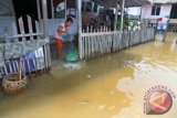 Seorang anak membuang air dari genangan banjir Rob yang merendam rumahnya di Desa Calok Geulima, Idi Rayeuk, Aceh Timur, Aceh, Rabu (22/6). Puluhan rumah warga di kawasan tersebut digenangi banjir rob yang disebabkan tingginya luapan pasang air laut. ANTARA FOTO/Syifa Yulinnas/foc/16.