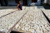 Pekerja menjemur keripik Gadung yang dijual dengan harga Rp. 20 ribu perkilogramnya di salah satu sentra di Kecamatan Ponggok, Blitar, Jawa Timur, Minggu (26/6). Menjelang hari raya Idul Fitri, produsen mengaku penjualan keripik yang dibuat dari umbi gadung (Dioscorea Hispida) tersebut, mulai naik dari yang biasanya sekitar 30 kg perminggu menjadi 45 kg. Antara Jatim/Irfan Anshori/zk/16
