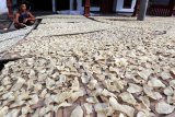 Pekerja menjemur keripik Gadung yang dijual dengan harga Rp. 20 ribu perkilogramnya di salah satu sentra di Kecamatan Ponggok, Blitar, Jawa Timur, Minggu (26/6). Menjelang hari raya Idul Fitri, produsen mengaku penjualan keripik yang dibuat dari umbi gadung (Dioscorea Hispida) tersebut, mulai naik dari yang biasanya sekitar 30 kg perminggu menjadi 45 kg. Antara Jatim/Irfan Anshori/zk/16