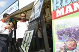 Presiden Joko Widodo (kanan) melihat pameran didampingi Kepala BNN Komjen Budi Waseso (kiri) dalam peringatan Hari Anti Narkoba Internasional (HANI) di Jalan Cengkeh, Jakarta, Minggu (26/6). Presiden menegaskan kejahatan narkoba merupakan kejahatan luar biasa yang harus diperangi semua elemen masyarakat dan ditindak tegas aparat hukum. ANTARA FOTO/Rosa Panggabean/wdy/16.