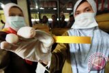 Petugas memperlihatkan bukti sampel kandungan borax (warna memerah pada kertas uji kuning) hasil pemeriksaan makanan di Lhokseumawe, Provinsi Aceh, Selasa (28/6). Pemeriksaan makanan itu sebagai upaya menjaring pedagang nakal yang meraup keuntungan dari pembeli makanan kebutuhan Lebaran. ANTARA FOTO/Rahmad/foc/16.