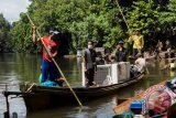 Sejumlah relawan dari Yayasan Inisiasi Alam Rehabilitasi Indonesia (YIARI) Ketapang membawa kandang berisi Orang Utan yang akan dilepasliarkan di Taman Nasional Bukit Baka Bukit Raya (TNBBR) di Kabupaten Melawi, Kalbar, Minggu (26/6). Pusat Penyelamatan dan Konservasi Orang Utan YIARI Ketapang bersama BKSDA Kalbar melepasliarkan satu individu Orangutan liar bernama Sabtu (25 tahun), serta Butan dan Marsela yang telah menjalani rehabilitasi di sekolah hutan yaitu belajar memanjat, mencari makan, membuat sarang, serta mempelajari berbagai kemampuan bertahan hidup. ANTARA FOTO/HUMAS YIARI-HERIBERTUS/jhw/16