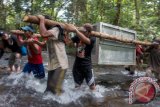 Sejumlah relawan dari Yayasan Inisiasi Alam Rehabilitasi Indonesia (YIARI) Ketapang membawa kandang berisi Orang Utan yang akan dilepasliarkan di Taman Nasional Bukit Baka Bukit Raya (TNBBR) di Kabupaten Melawi, Kalbar, Minggu (26/6). Pusat Penyelamatan dan Konservasi Orang Utan YIARI Ketapang bersama BKSDA Kalbar melepasliarkan satu individu Orangutan liar bernama Sabtu (25 tahun), serta Butan dan Marsela yang telah menjalani rehabilitasi di sekolah hutan yaitu belajar memanjat, mencari makan, membuat sarang, serta mempelajari berbagai kemampuan bertahan hidup. ANTARA FOTO/HUMAS YIARI-HERIBERTUS/jhw/16